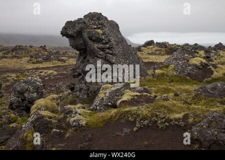 Lavafeld Berserkjahraun, Snaefellsnes, Vesturland, Island Europa Stockfoto