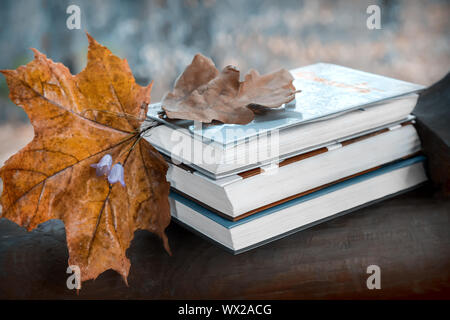 Still life: Bücher und Blätter im Herbst im Park. Stockfoto