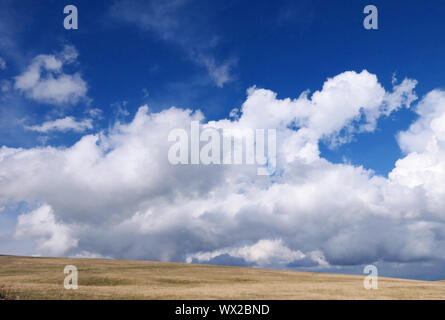 Himmel und grass Stockfoto