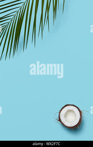 Kreative Rahmen aus Palm Leaf und Kokosnuss Hälften auf einem blauen Hintergrund mit kopieren. Flach Stockfoto