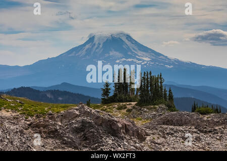 Mount Adams gesehen von der Ziege Felsen Wüste entlang des Pacific Crest Trail, Gifford Pinchot National Forest, Washington State, USA Stockfoto