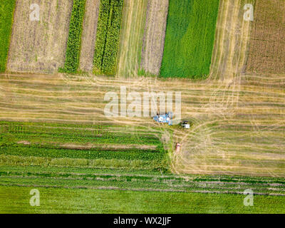 Panorama der Mähdrescher erntet das Getreide auf dem Feld. Ansicht von oben von drohne. Stockfoto