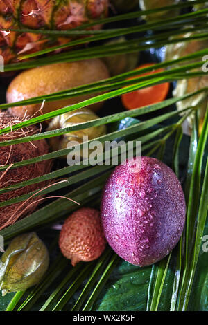 Close-up Passionsfrucht in Wassertropfen auf einer tropischen baskground mit Palmblättern. Stockfoto