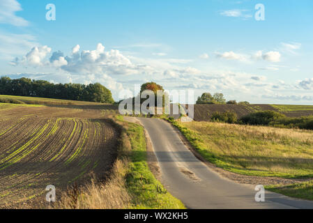 Landwirtschaft Straße auf der Insel Rügen Stockfoto