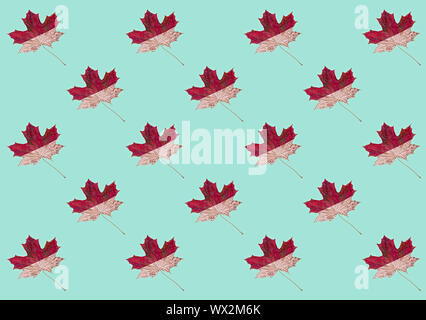 Herbst Muster mit maple leaf auf einem mint Hintergrund. Herbst Minimalismus, neo-Münze. Stockfoto