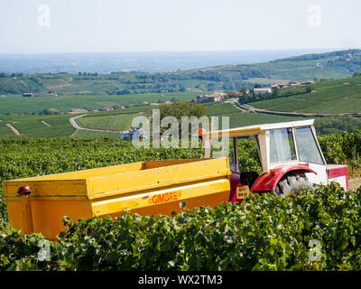 Weinbau Maschinen, Vergisson, Burgund, Saône-et-Loire, Bourgogne-Franche-Comté Region, Frankreich Stockfoto