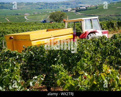 Weinbau Maschinen, Vergisson, Burgund, Saône-et-Loire, Bourgogne-Franche-Comté Region, Frankreich Stockfoto