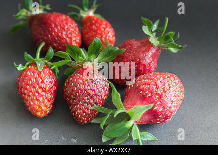 Rote Erdbeeren auf einem schwarzen Hintergrund Reif. Stockfoto