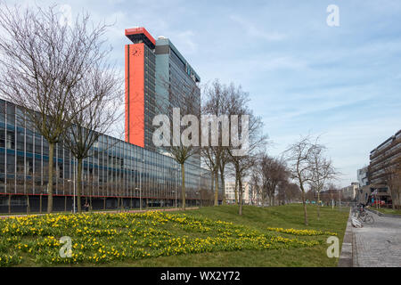 Auf dem Campus der Technischen Universität Delft mit Gebäuden und Feld des Narziß. Stockfoto