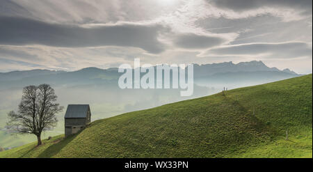 Idyllische und ruhige Berglandschaft mit einem abgeschiedenen Holz- Scheune und einsamer Baum auf einem Grasbewachsenen hillsi Stockfoto