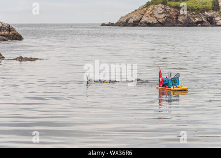 Fort Wetherill Park Narragansett, Rhode Island Stockfoto
