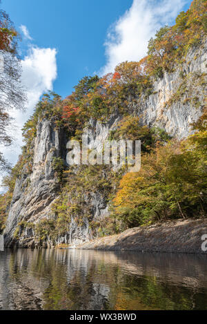 Geibi Schlucht (Geibikei) Herbstlaub Landschaft in sonniger Tag. Viele wilde Enten in der Schlucht und Sie scharen sich um auf der Suche nach Essen Stockfoto