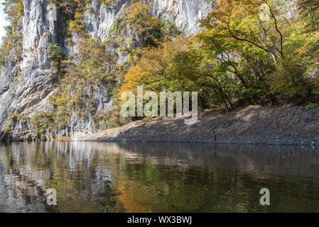 Geibi Schlucht (Geibikei) Herbstlaub Landschaft in sonniger Tag. Viele wilde Enten in der Schlucht und Sie scharen sich um auf der Suche nach Essen Stockfoto