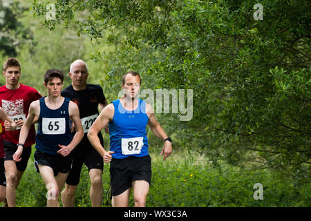 Laienhafte Läufer in einem realen Rennen, das traditionelle 2 Hügel Chagford trail Race Stockfoto