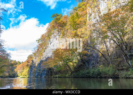 Geibi Schlucht (Geibikei) Herbstlaub Landschaft in sonniger Tag. Viele wilde Enten in der Schlucht und Sie scharen sich um auf der Suche nach Essen Stockfoto