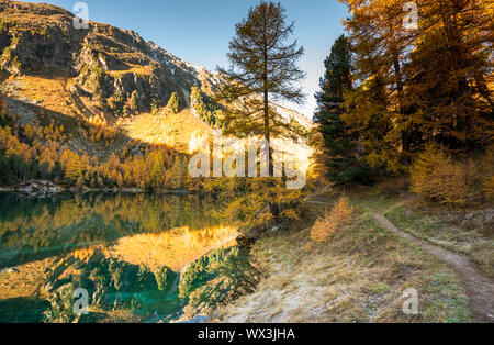 Gelbe Lärchen und Bergsee mit Reflexionen im späten Herbst Stockfoto