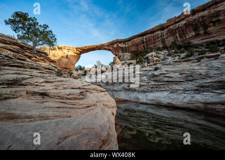 Owachomo Bridge, Natural Bridges National Monument, Utah USA Stockfoto