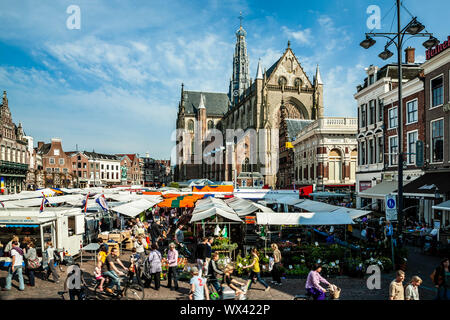 Farmers Market und St. Bavo-Kirche (Grote Kerk), Grote Markt, Haarlem, Niederlande Stockfoto