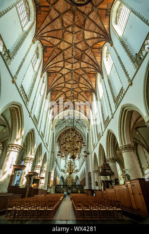 Interieur, St. Bavo-Kirche (Grote Kerk), Haarlem, Niederlande Stockfoto