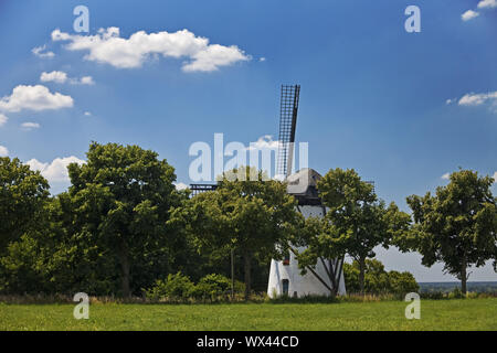 Stammenmühle Windmühle, Nettetal, Niederrhein, Nordrhein-Westfalen, Deutschland, Europa Stockfoto