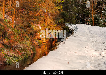 Nationalpark Harz im Winter Oderteich Stockfoto