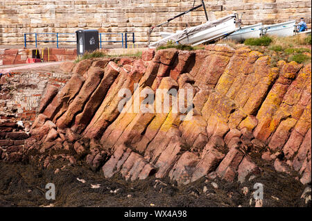 Säulig Verfugung ist in einem Felsvorsprung aus Basalt an der Batterie, Dunbar angezeigt. Dunbar ist eine Stadt im Südosten von Schottland. Stockfoto