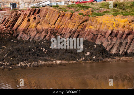 Säulig Verfugung ist in einem Felsvorsprung aus Basalt an der Batterie, Dunbar angezeigt. Dunbar ist eine Stadt im Südosten von Schottland. Stockfoto