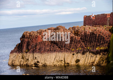 Säulig Verfugung ist in einem Felsvorsprung aus Basalt an der Batterie, Dunbar angezeigt. Dunbar ist eine Stadt im Südosten von Schottland. Stockfoto