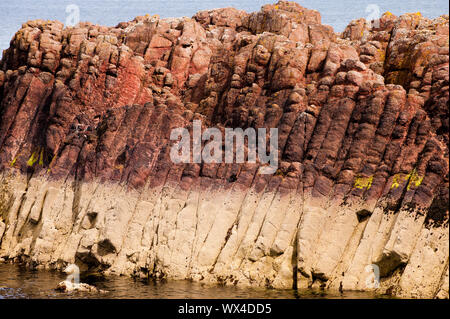 Säulig Verfugung ist in einem Felsvorsprung aus Basalt an der Batterie, Dunbar angezeigt. Dunbar ist eine Stadt im Südosten von Schottland. Stockfoto