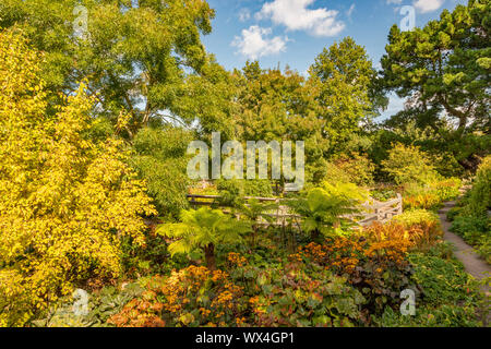 Das ROBINSON Sunken Garden an der RHS Hyde Hall, Chelmsford, Essex, England, Vereinigtes Königreich. Stockfoto