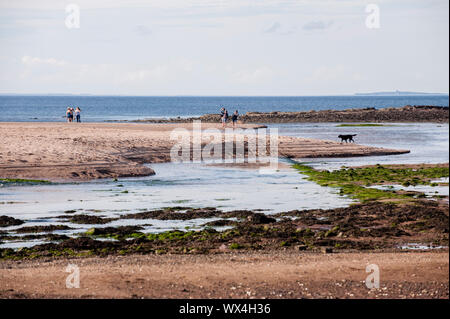 Belhaven Bay in Dundar. Dunbar ist eine Stadt im Südosten von Schottland. Stockfoto