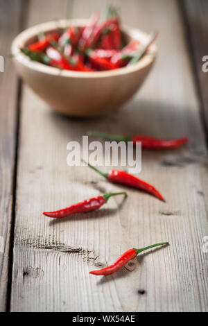 Red hot Chili Paprika Stockfoto