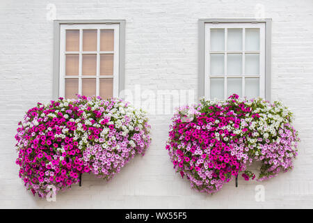 Weißer Fassade mit Windows und Blumen in Blumenkästen Stockfoto