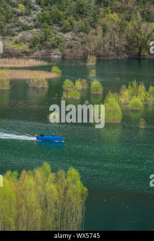 Blaue Motorboot auf dem See Stockfoto