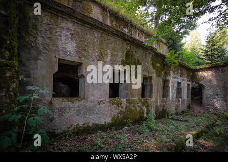 Berg Elsass Vogesen Weltkrieg ein Denkmal Ruinen Stockfoto