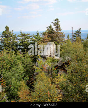 Landschaft im Harz, Felsen, Bäume Stockfoto