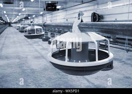 automatisierte Geflügelfarm Stockfoto