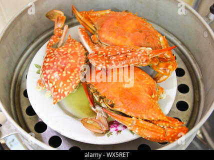 Krabben in Dampf Topf Stockfoto