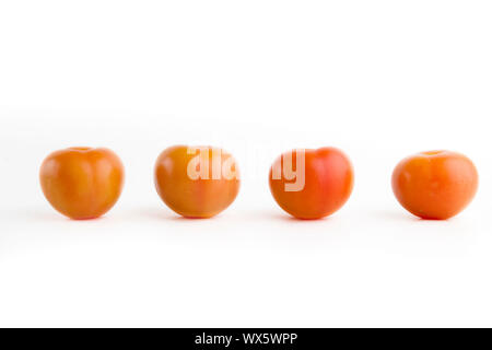 Vier reife rote Tomaten auf weißem Hintergrund Stockfoto