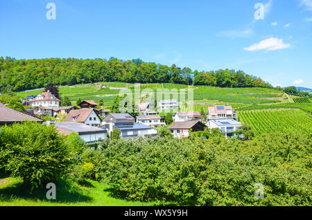 Malerische Bergdorf Spiez in der Schweiz mit grünen Weinbergen an den Hängen fotografiert an einem sonnigen Sommertag. Die kleine Stadt ist von Thuner See im Berner Oberland. Schweizer Landschaft. Stockfoto