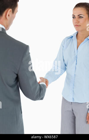Young Business Partner tun einen Deal vor einem weißen Hintergrund Stockfoto