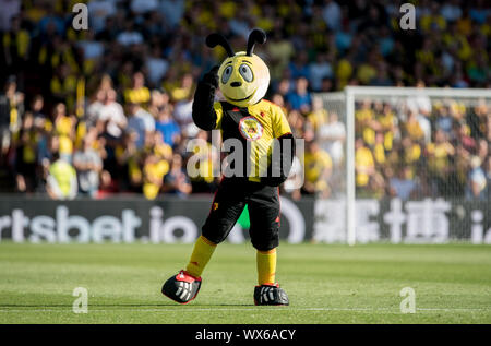 Harry Hornissen, Watford Maskottchen pre Match beim Premier League Spiel zwischen Watford und Arsenal an der Vicarage Road, Watford, England am 16. Septem Stockfoto