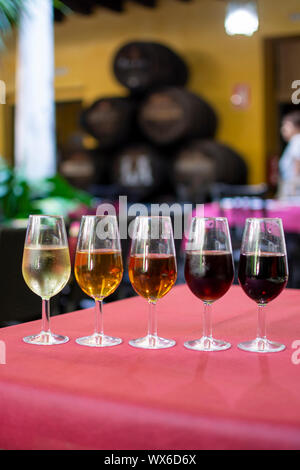 Sherry Wein Tasting, Auswahl an verschiedenen Jerez angereicherte Weine von trocken bis süß und sehr süß, Jerez de la Frontera, Andalusien, Spanien Stockfoto