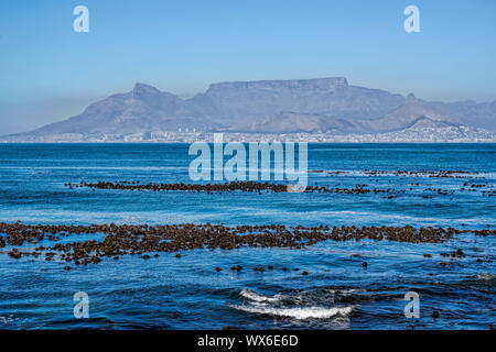 Tafelberg, Robben Island gesehen Stockfoto