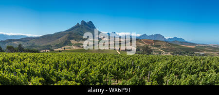 Die schöne Landschaft der Cape Winelands, Weinbaugebiet in Südafrika Stockfoto