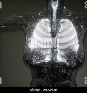 Die menschliche Lunge Radiologie Prüfung Stockfoto