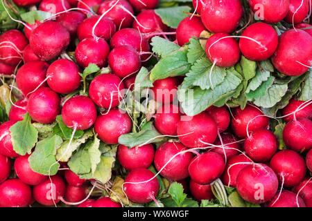 Rote Rübe mit grünen Blättern auf der Theke der Markt Stockfoto