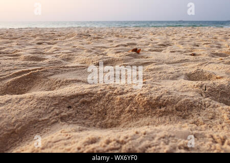 Tropischer Strand Stockfoto