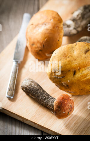 Orange-Cap Steinpilzen Pilze Stockfoto