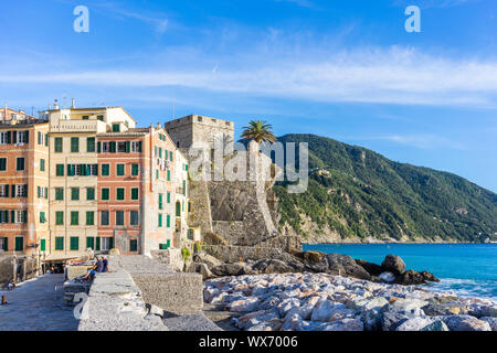 Bunte Häuser und den Hafen von Camogli im Sommer - ein italienisches Fischerdorf und Ferienort in Ligurien, Italien Stockfoto